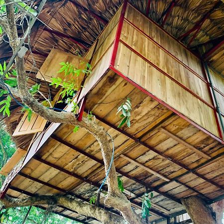 Muong Retreat- Nghi Duong Xanh Trong Bao Tang Van Hoa Nghe Thuat,Hoa Binh Hotell Eksteriør bilde
