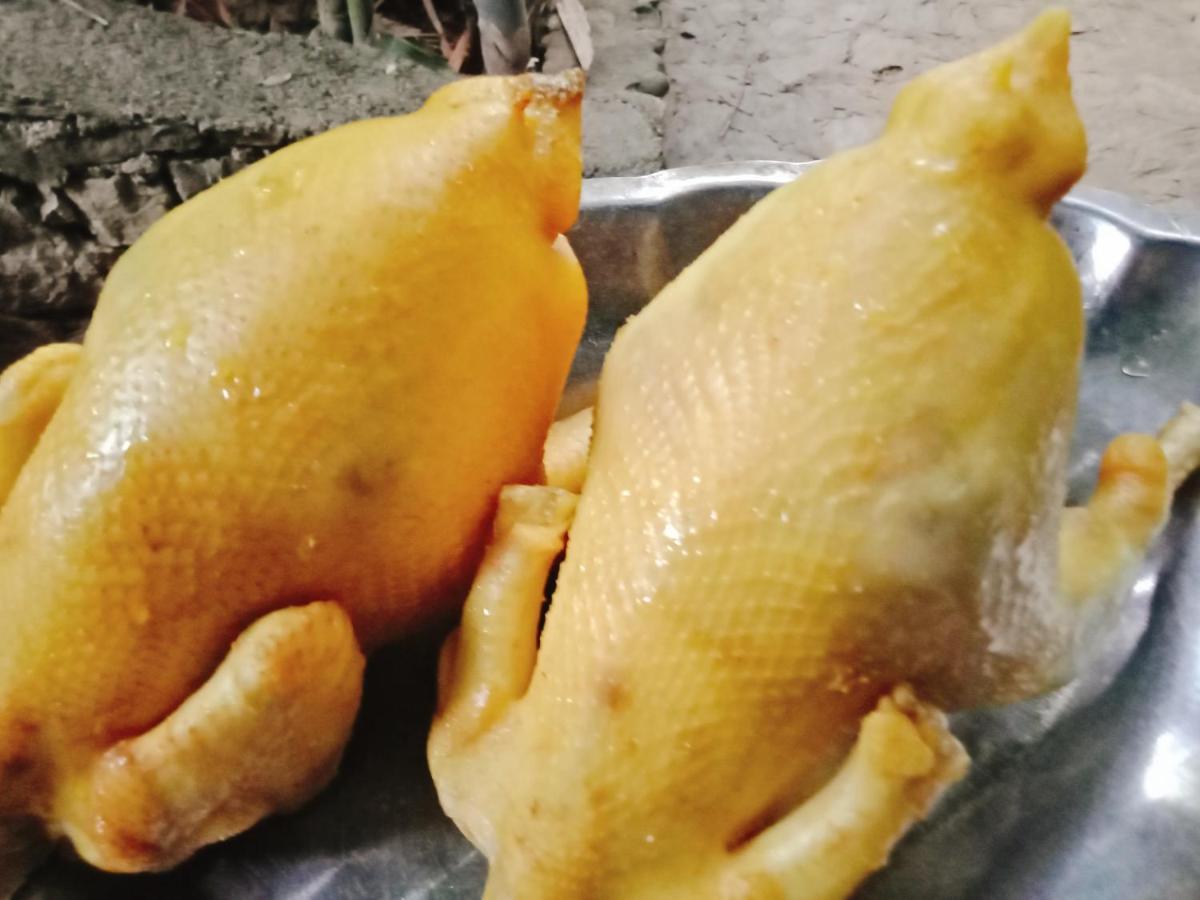 Muong Retreat- Nghi Duong Xanh Trong Bao Tang Van Hoa Nghe Thuat,Hoa Binh Hotell Eksteriør bilde