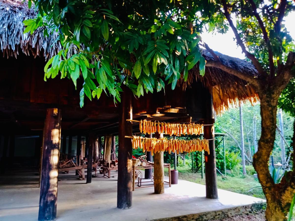 Muong Retreat- Nghi Duong Xanh Trong Bao Tang Van Hoa Nghe Thuat,Hoa Binh Hotell Eksteriør bilde