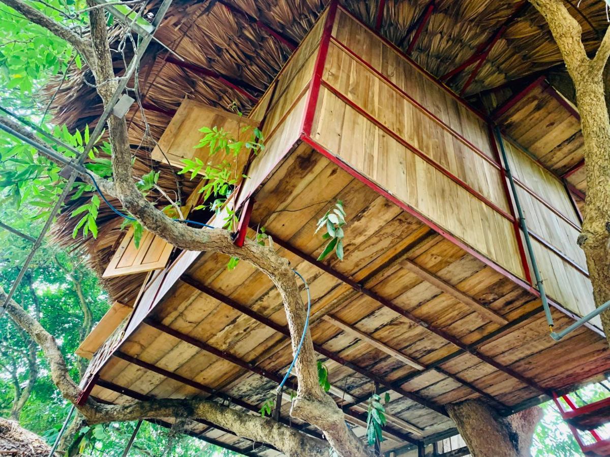 Muong Retreat- Nghi Duong Xanh Trong Bao Tang Van Hoa Nghe Thuat,Hoa Binh Hotell Eksteriør bilde