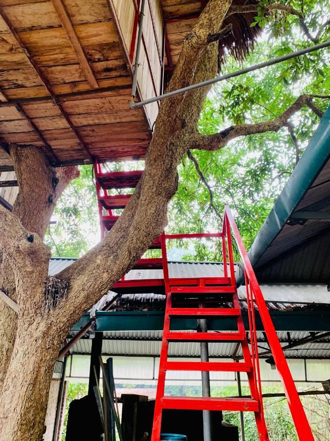Muong Retreat- Nghi Duong Xanh Trong Bao Tang Van Hoa Nghe Thuat,Hoa Binh Hotell Eksteriør bilde